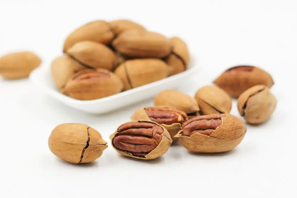 Protein Gainer
